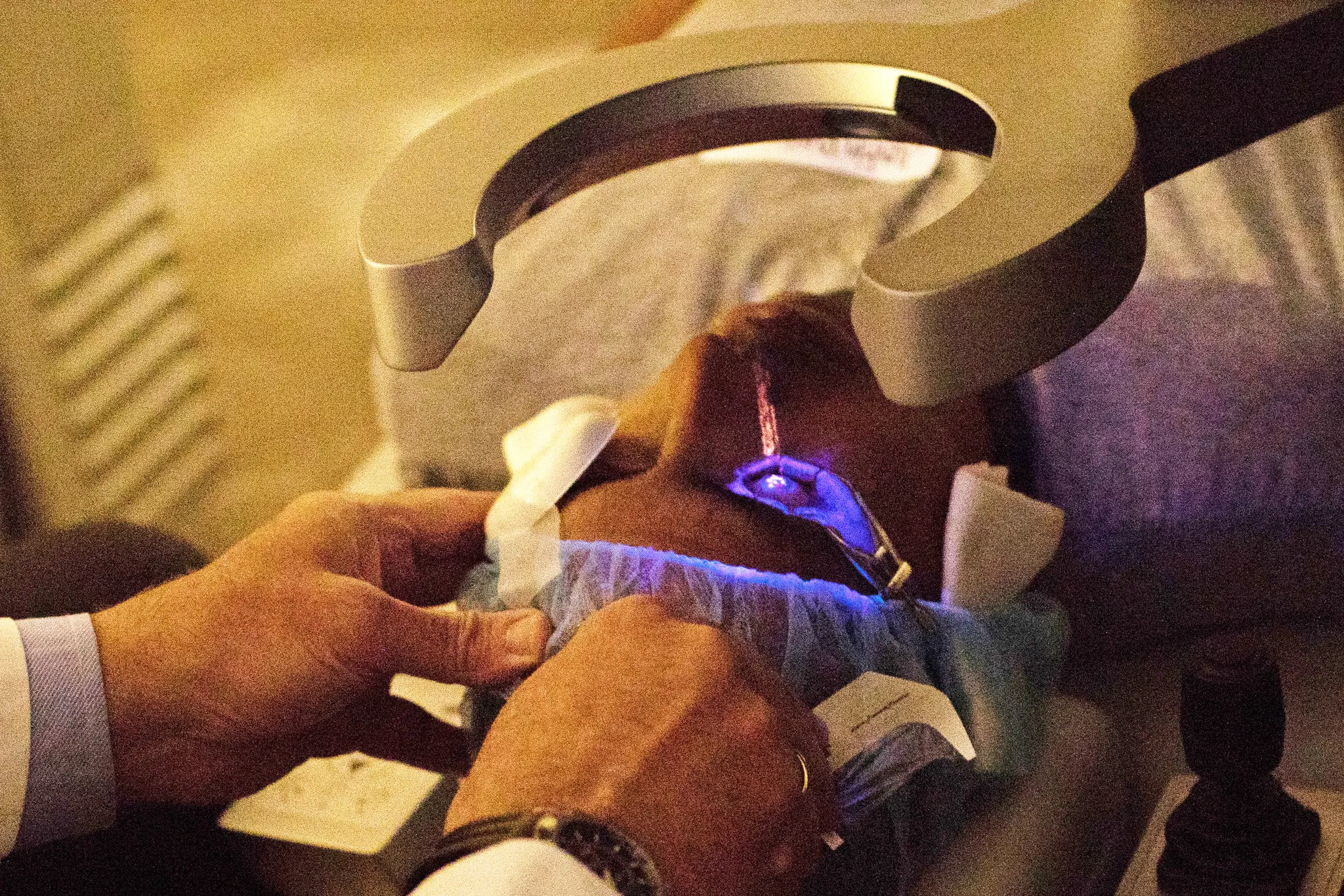 NY Times LASIK